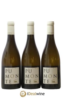 Vin de Corse Calvi Pumonte Domaine Alzipratu