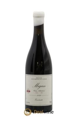 Vinos Atlanticos - Islas Canarias Migan Envinate