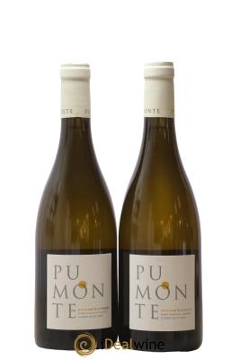 Vin de Corse Calvi Pumonte Domaine Alzipratu