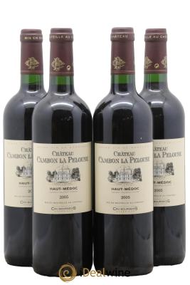 Château Cambon la Pelouse Cru Bourgeois