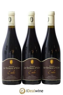 Pays d'Hérault L'Enclos Terrasse d'Elise (Domaine de la)