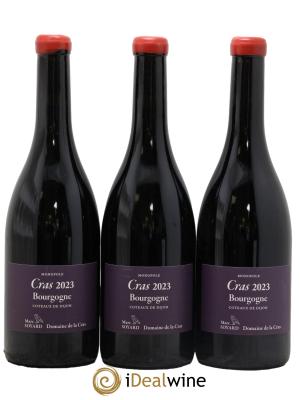 Bourgogne Cras Domaine de la Cras - Marc Soyard