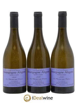 Bourgogne Aligoté La Charme aux Prêtres Sylvain Pataille (Domaine)