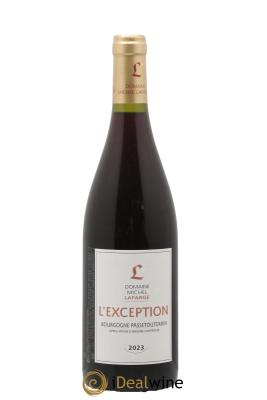 Bourgogne Passetoutgrain L'Exception Lafarge (Domaine)