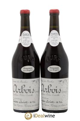 Arbois Trousseau Les Bruyères Cuvée des Géologues Lucien Aviet (Domaine) 