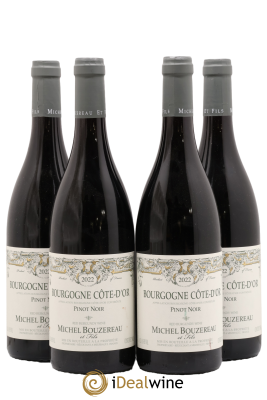 Bourgogne Côte-d'Or Michel Bouzereau et Fils (Domaine)
