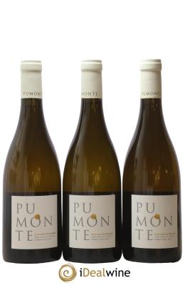 Vin de Corse Calvi Pumonte Domaine Alzipratu