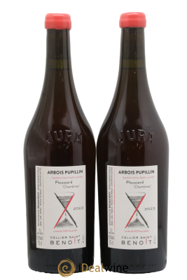 Arbois-Pupillin Ploussard Chambines Cellier Saint Benoît