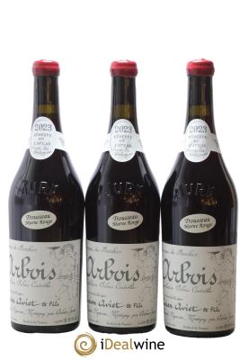 Arbois Trousseau Marne Rouge Cuvée des Géologues Lucien Aviet (Domaine)