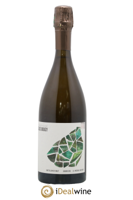 Chétillon de Haut Le Mesnil sur Oger Elise Bougy