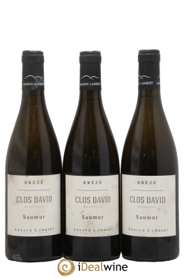 Saumur Brézé Clos David Arnaud Lambert