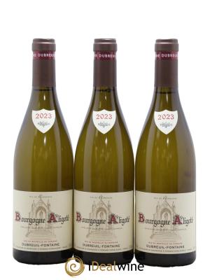 Bourgogne Aligoté Dubreuil-Fontaine