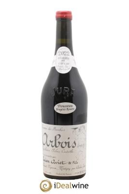 Arbois Trousseau Rosière Cuvée des Géologues Lucien Aviet (Domaine)