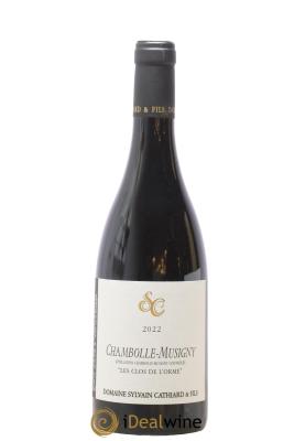 Chambolle-Musigny Les Clos de l'Orme Sylvain Cathiard & Fils