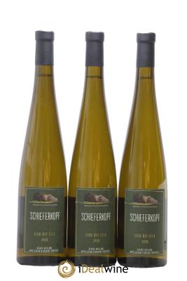 Alsace Riesling Lieu-dit Fels Schieferkopf - Chapoutier