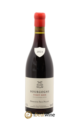 Bourgogne Pinot Noir Paul Pillot (Domaine)