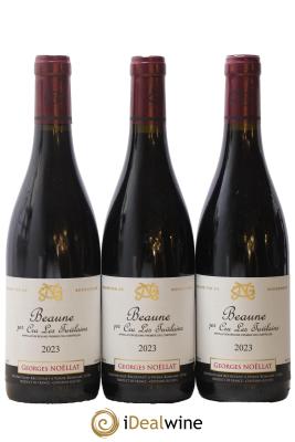 Beaune 1er Cru Les Tuvilains Georges Noëllat (Domaine)