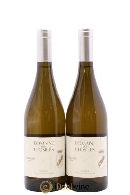 Saumur Allegory Des Closiers (Domaine)
