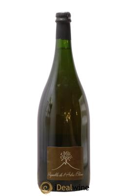 Vin de France Grigiolo Vignoble de l'Arbre Blanc