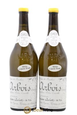 Arbois Melon à Queue Rouge Cuvée des Docteurs Lucien Aviet (Domaine)