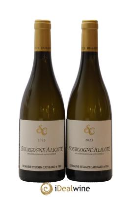 Bourgogne Aligoté Sylvain Cathiard & Fils