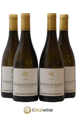 Bourgogne Aligoté Sylvain Cathiard & Fils
