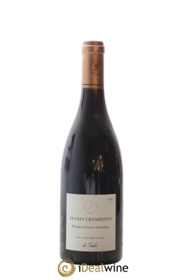 Gevrey-Chambertin 1er Cru Les Corbeaux Les Parcellaires de Saulx