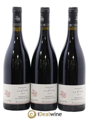 Bourgueil Coteaux du Levant Domaine de La Butte - Jacky Blot