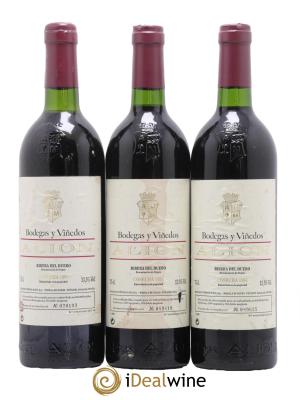 Ribera Del Duero DO Vega Sicilia Alion Famille Alvarez 