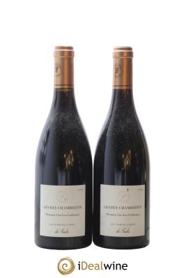 Gevrey-Chambertin 1er Cru Les Corbeaux Les Parcellaires de Saulx