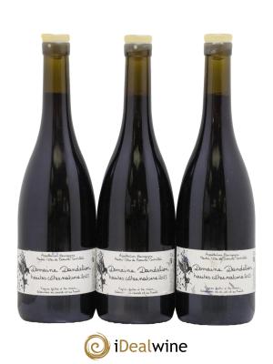 Hautes-Côtes de Beaune Nature Dandelion (Domaine)