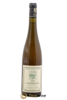 bottle of wine
