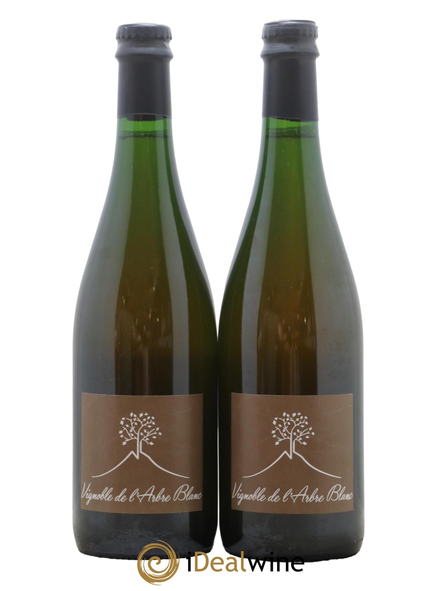 Vin de France Les Fesses Vignoble de l'Arbre Blanc 2018 - Lot de 2 bouteilles - 0