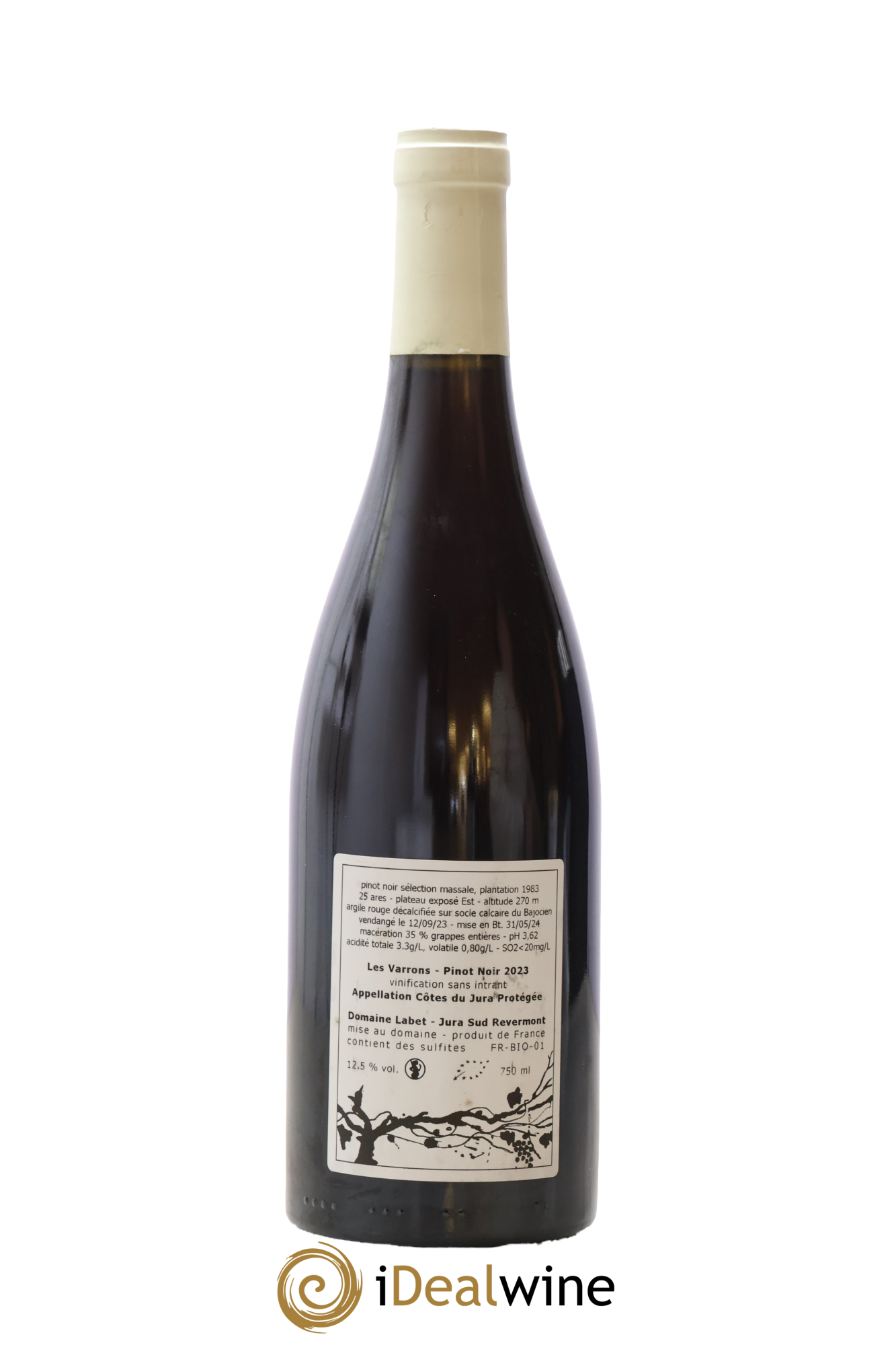 Côtes du Jura Pinot Noir Les Varrons Romain - Julien - Charline Labet 2023 - Lot de 1 bouteille - 1