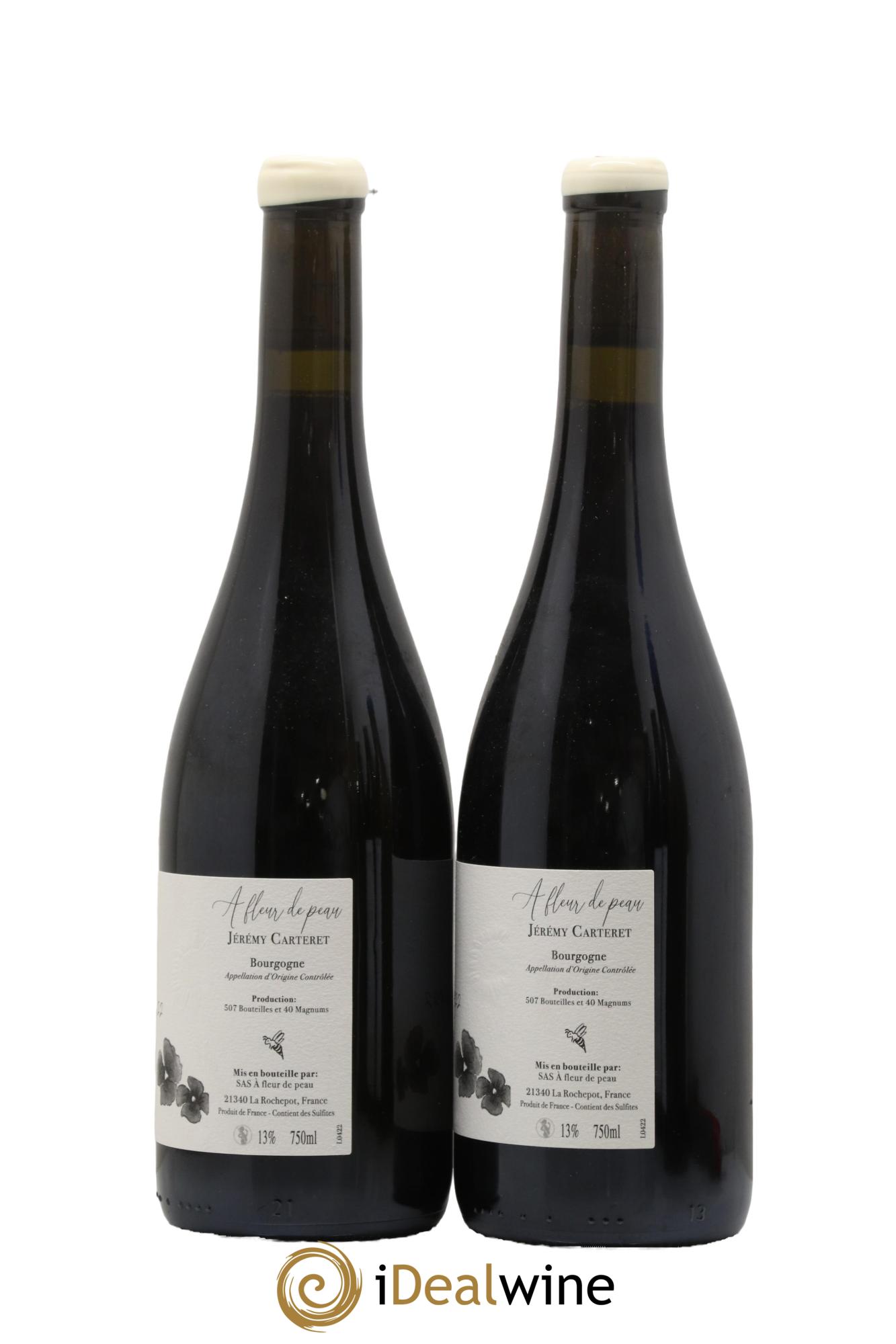 Bourgogne Ink A Fleur de Peau Jérémy Carteret 2022 - Posten von 2 Flaschen - 1