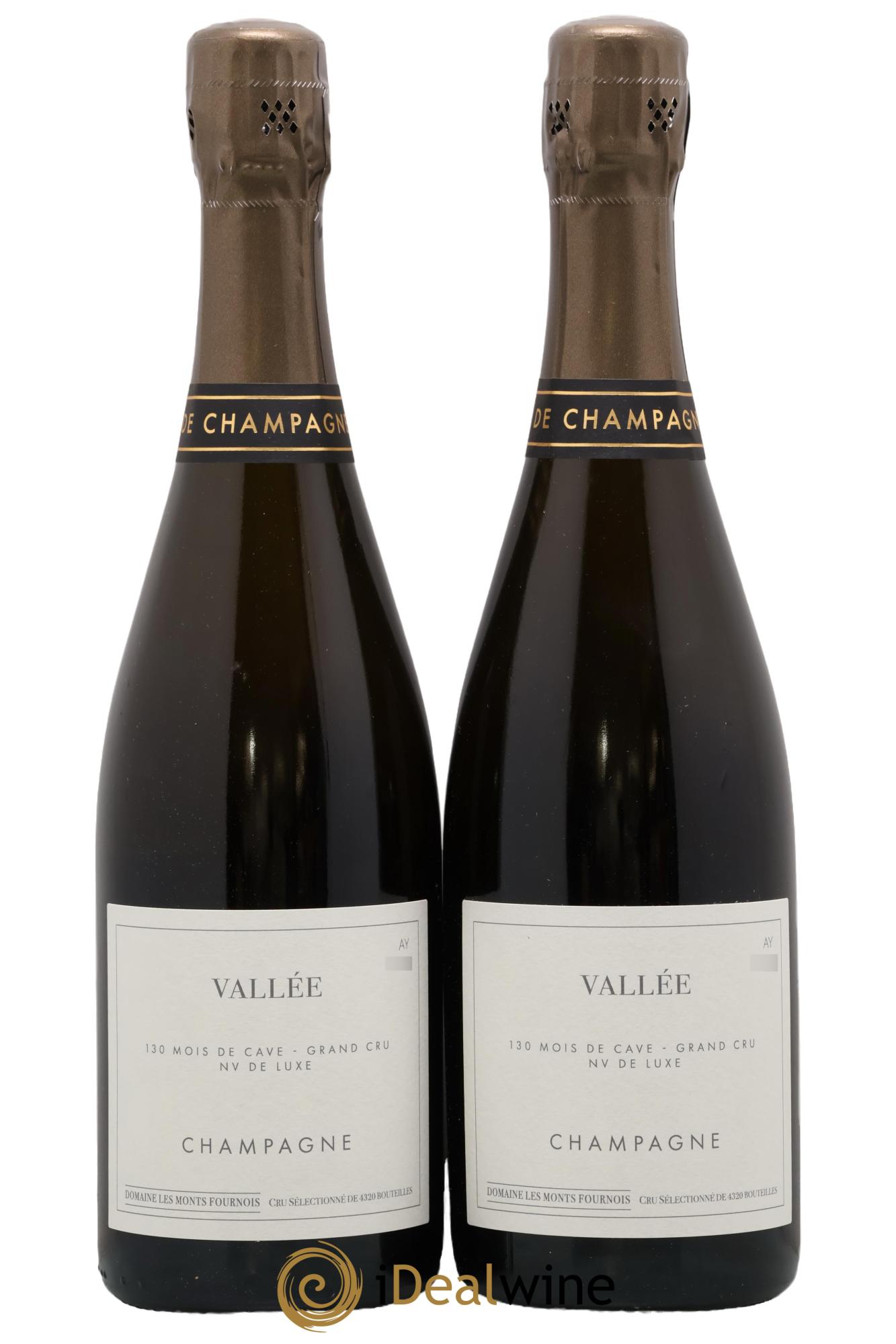 Vallée Aÿ Grand Cru Les Monts Fournois (Domaine) - Posten von 2 Flaschen - 0