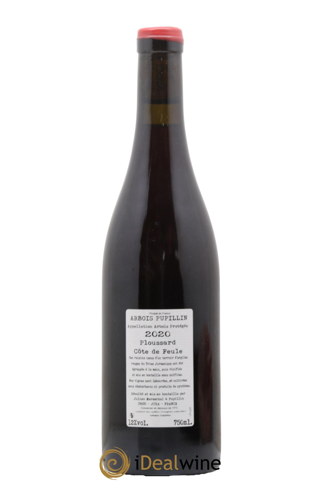 Arbois Pupillin Ploussard Côte de Feule Domaine de la Borde 2020 - Lotto di 1 bottiglia - 1