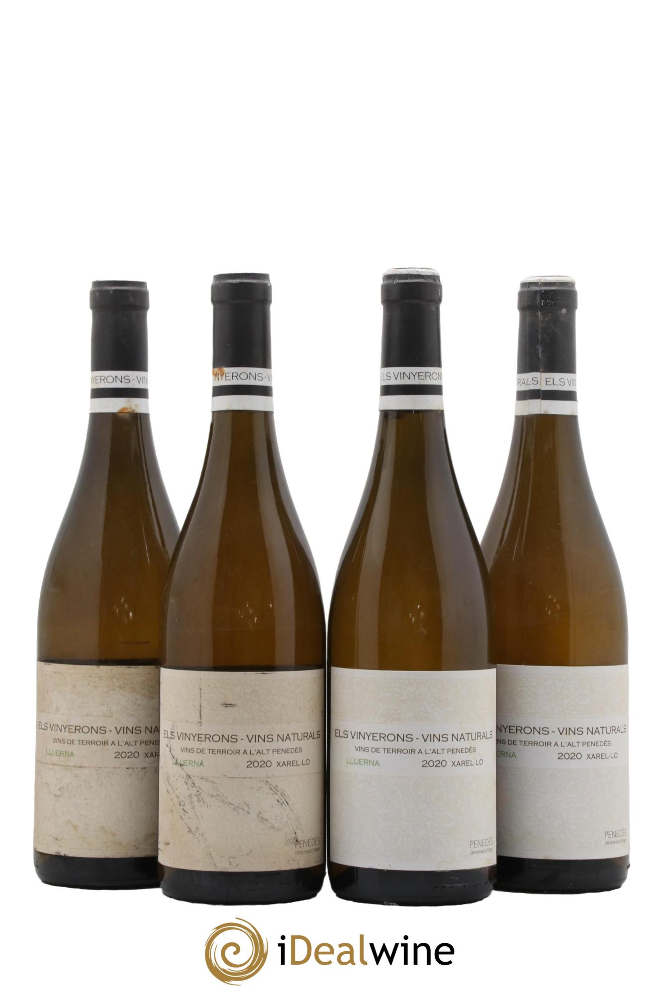 Espagne Lluerna Els Vinyeron 2020 - Lot de 4 bouteilles - 0