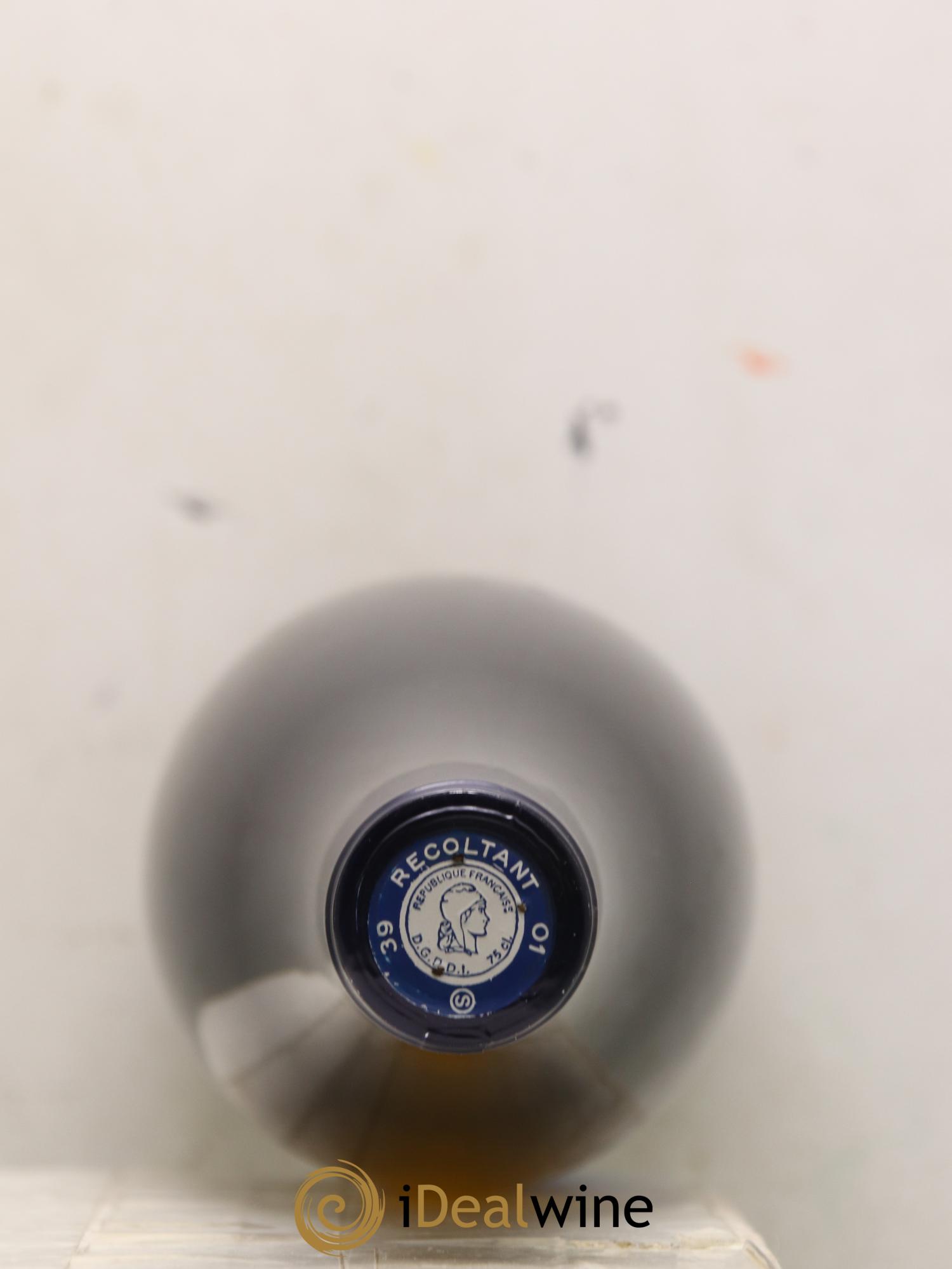 Vin de France Entre Deux Bleus Les saugettes Kenjiro Kagami - Domaine des Miroirs 2016 - Lot de 2 bouteilles - 1