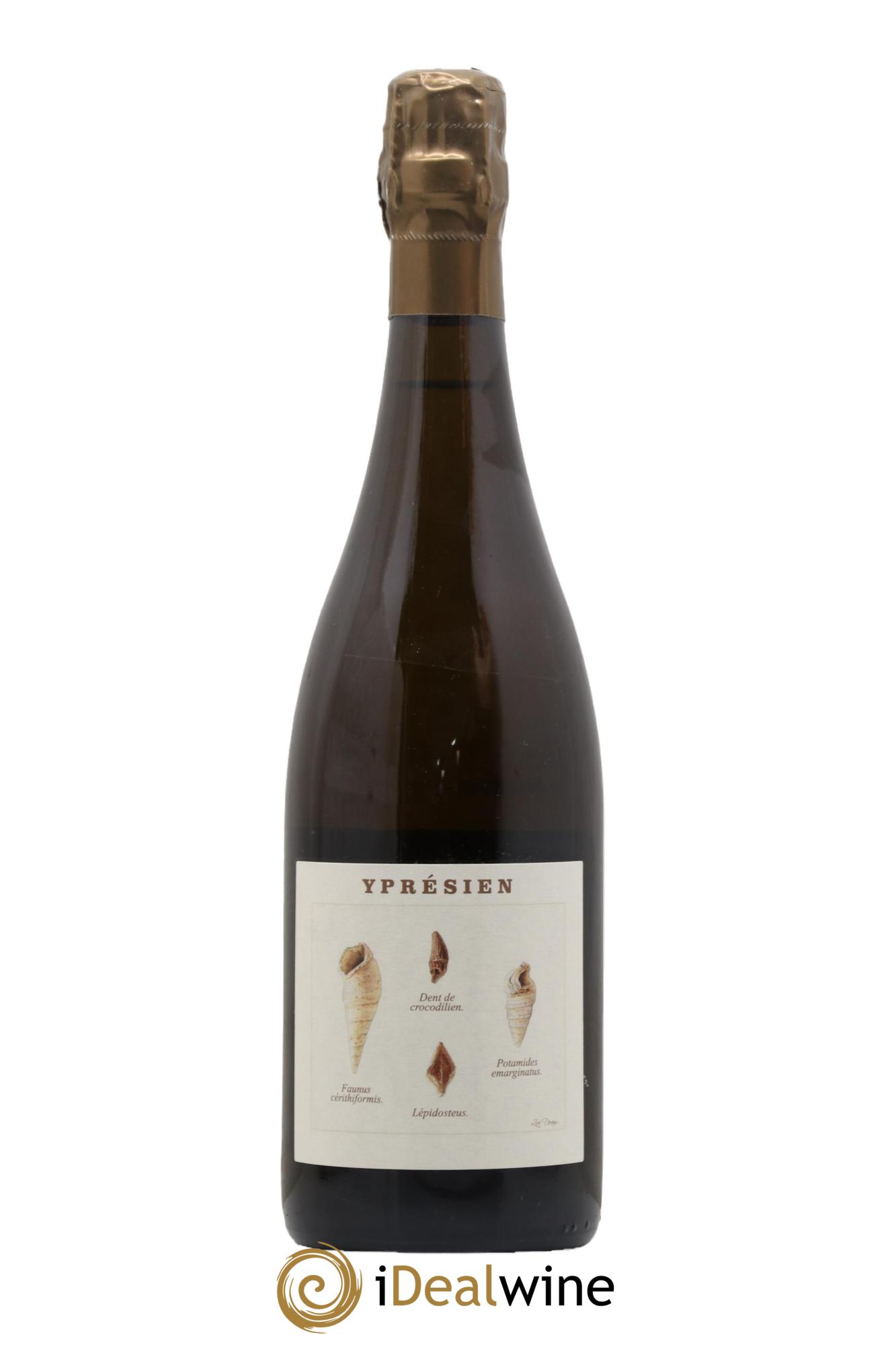 Yprésien Legrand Latour - Lot de 1 bouteille - 0
