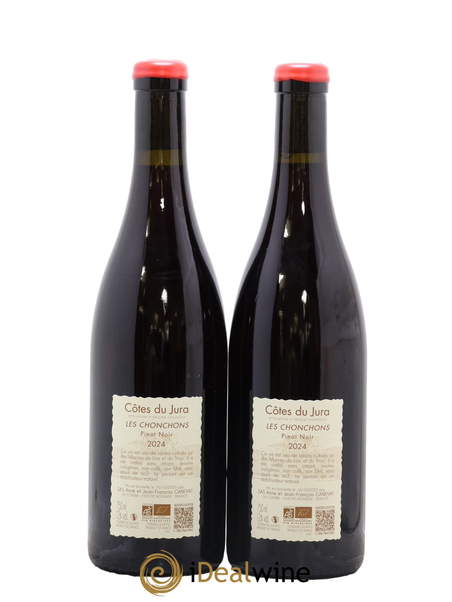 Côtes du Jura Les Chonchons Anne et Jean François Ganevat 2024 - Lot of 2 bottles - 1