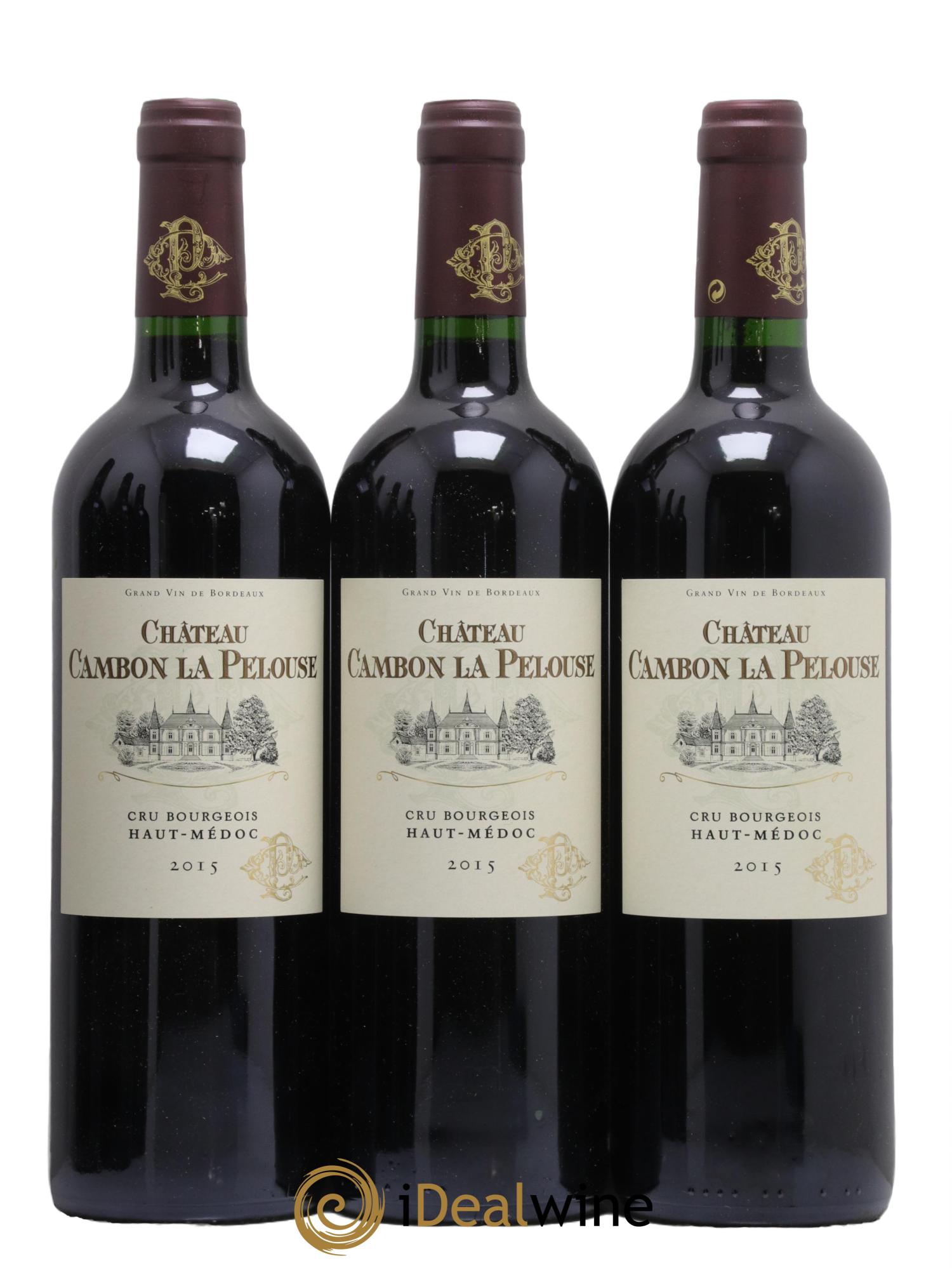 Château Cambon la Pelouse Cru Bourgeois 2015 - Lot de 12 bouteilles - 3
