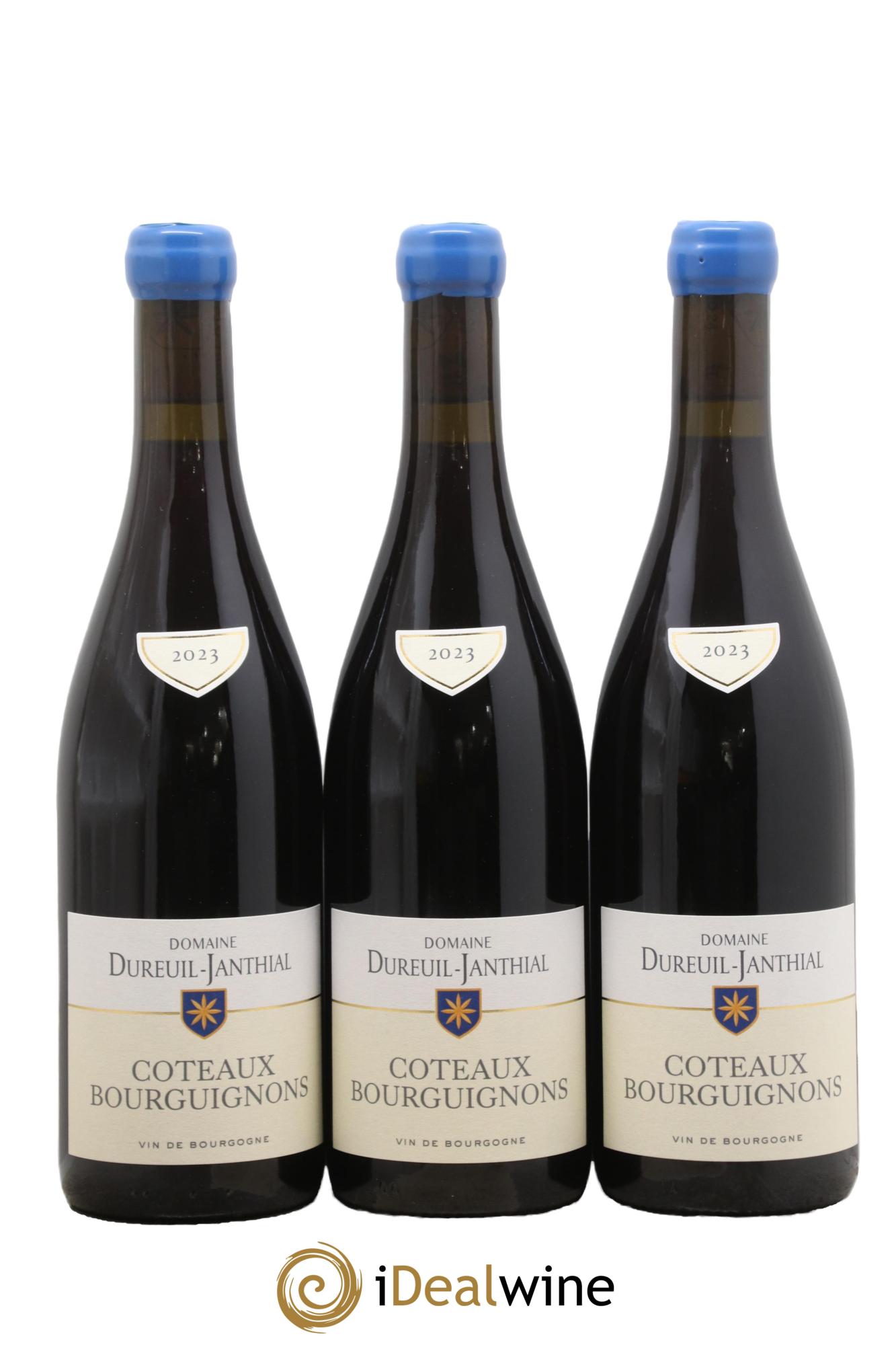 Côteaux Bourguignons Vincent Dureuil-Janthial 2023 - Lot de 3 bouteilles - 0