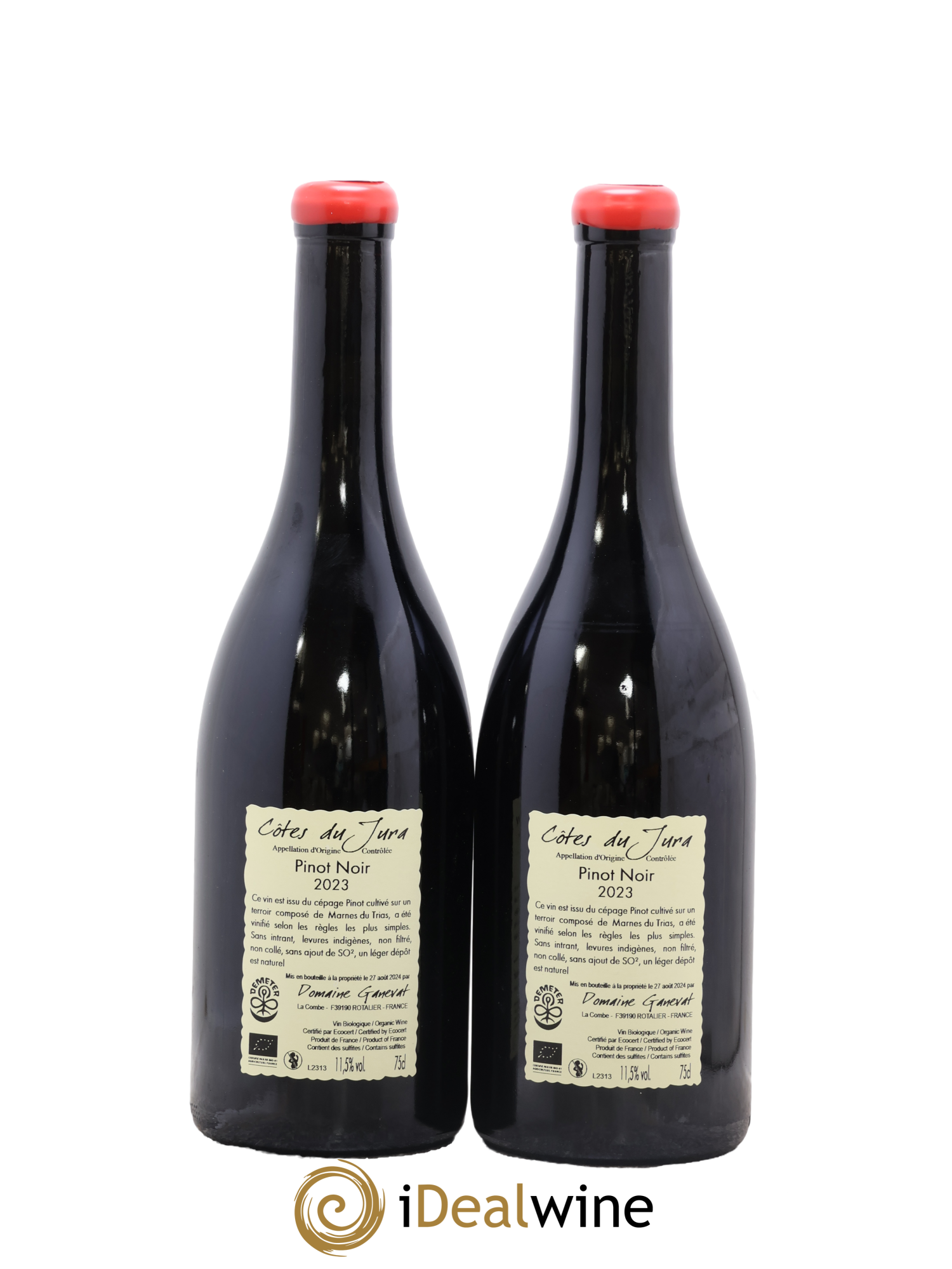 Côtes du Jura Les Grands Teppes Jean-François Ganevat (Domaine) 2023 - Lotto di 2 bottiglie - 1