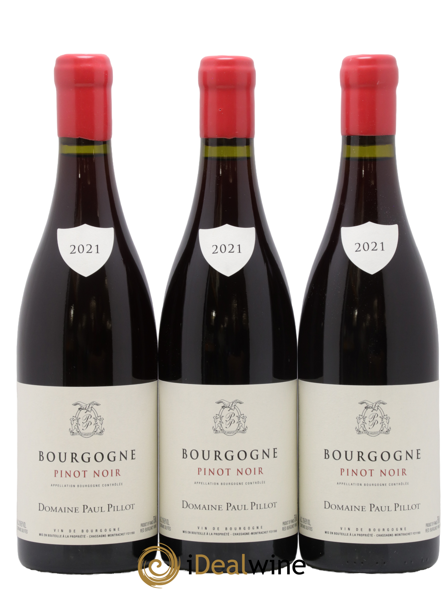 Bourgogne Pinot Noir Paul Pillot (Domaine) 2021 - Lot de 3 bouteilles - 0