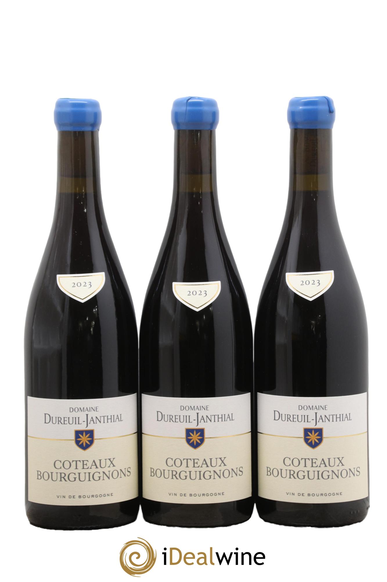 Côteaux Bourguignons Vincent Dureuil-Janthial 2023 - Lot de 3 bouteilles - 0