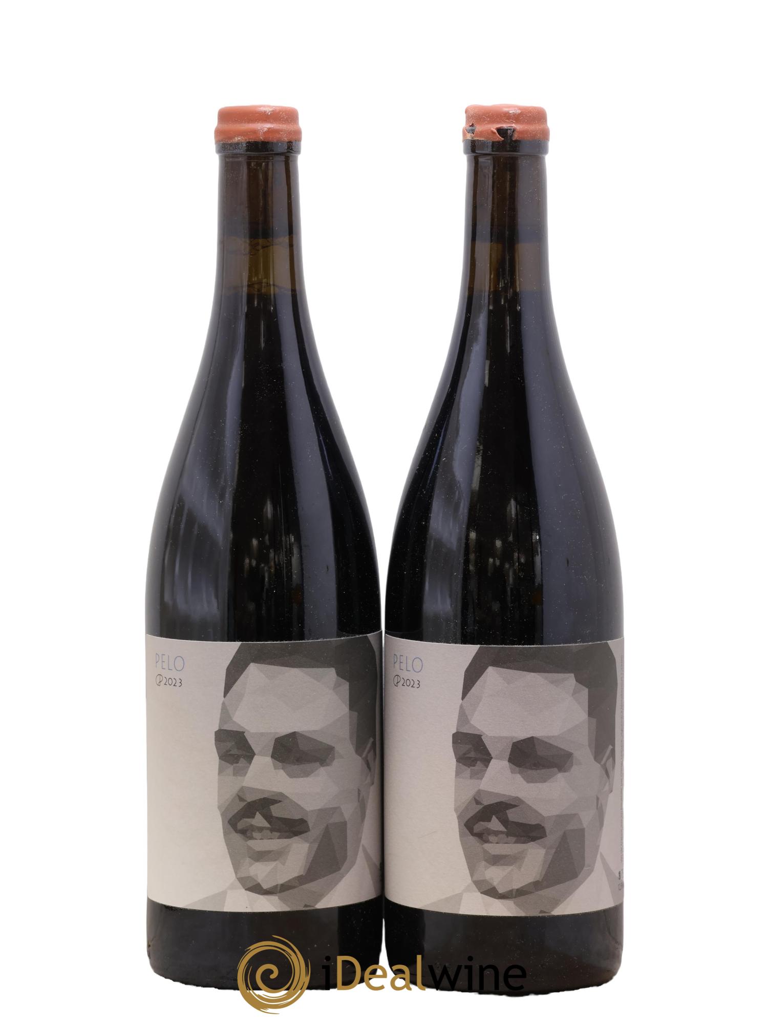 Vin de France Pelo Clos des Plantes - Olivier Lejeune 2023 - Lot de 2 bouteilles - 0