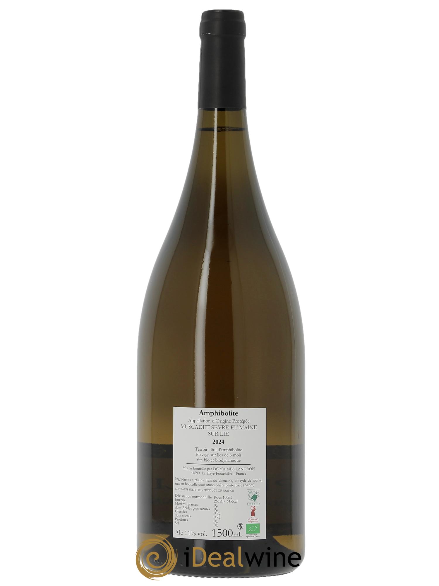 Muscadet-Sèvre-et-Maine Amphibolite Jo Landron 2024 - Lot of 1 magnum - 1