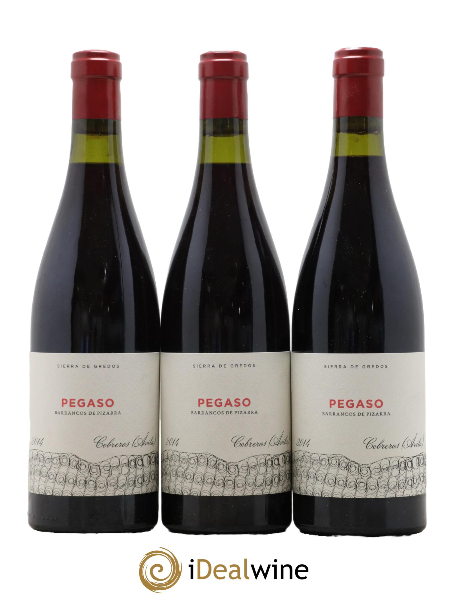 Espagne Vino De La Tierra De Castilla Y Leon Pegaso Pizarra Rouge Rouge 2014 - Lot de 6 bouteilles - 3