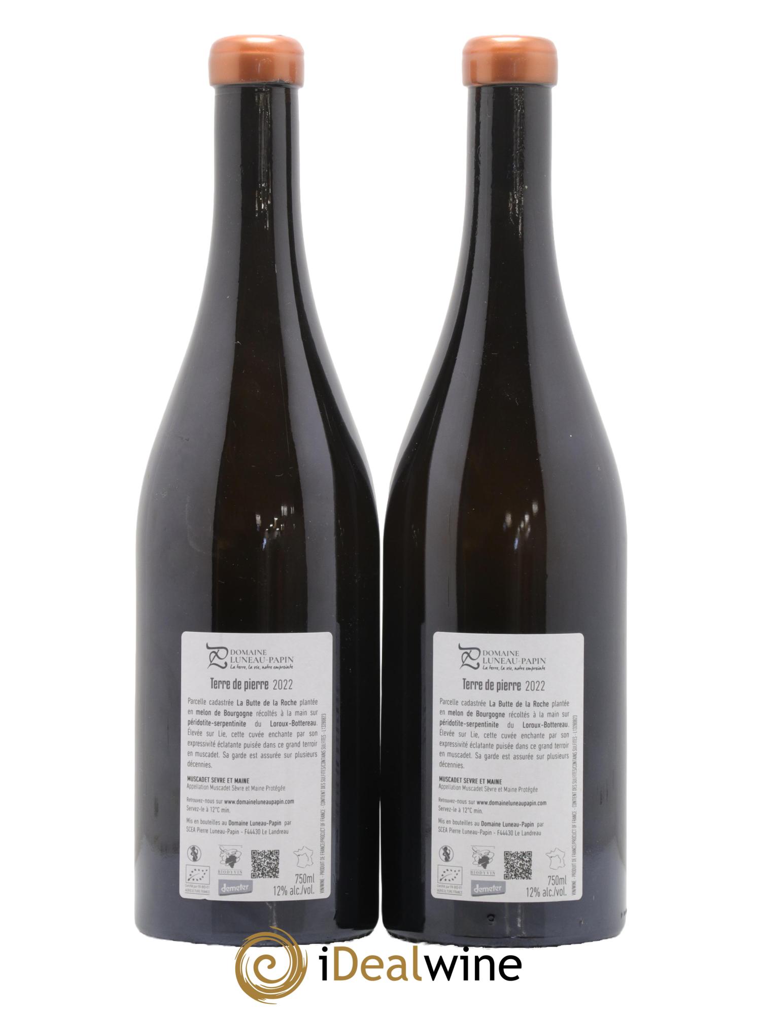Muscadet-Sèvre-et-Maine sur lie Terre de Pierre Luneau-Papin Muscadet Sevre Et Maine Terre Pierre Luneau Papin 2022 - Lot de 2 bouteilles - 1